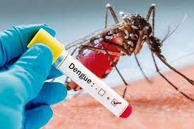 National Dengue Day
