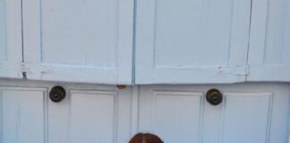 अदिति राव की सादगी पर फिदा हुए फैंस 7b15239b-ba0a-49c2-b648-8d893fbd0af9