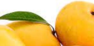 आम और इसके पत्तों के फायदे तो लगभग लोग जानते ही होंगे images