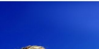 गर्मियों में कब्ज, पानी की कमी समेत कई समस्या देखने को मिलती है Screenshot 2023-06-10 173027