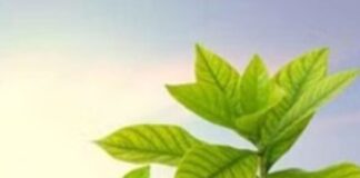 रिटायरमेंट प्लानिंग के लिए निवेश शुरू करने से दूर हो सकती हैं मुश्किलें Screenshot 2023-06-23 195903