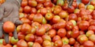 टमाटर के सबसे ज्यादा दाम देखने को मिले जो 162 रुपए किलो पर पहुंच गए Screenshot 2023-07-08 190702