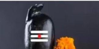 Sawan 2023: जानिए क्यों नहीं चढ़ाया जाता शिवलिंग पर हल्दी और तुलसी समेत ये 6 चीजें Screenshot 2023-07-13 202657