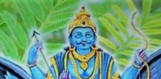 शमी के पौधे को घर में लगाने से शनिदेव की कृपा दृष्टि बनी रहती है Screenshot 2023-07-15 151600