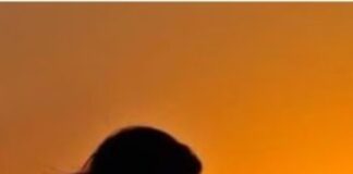 ब्रह्म मुहूर्त में न करें ये काम, घेर लेते हैं रोग Screenshot 2023-07-25 193224