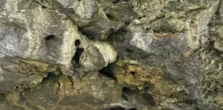 व्हाइट बिकिनी में जलपरी बनकर उतरीं अंजिनी धवन anjini-dhawan-in-white-bikini