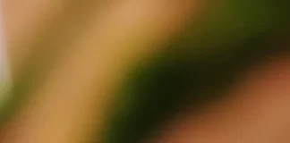 Dengue Cases : डेंगू का बढ़ रहा आतंक, इन चीजों से रहें सेफ dengue-cases