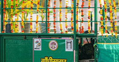 गांधी सागर में छोड़ी गई मादा चीता ‘राधा’, मध्यप्रदेश में चीतों का कुनबा बढ़कर 56