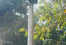 मुंबई में कचरा फेंकने वालों पर AI कैमरे की नजर, लाउडस्पीकर से मिलेगा सफाई का संदेश
